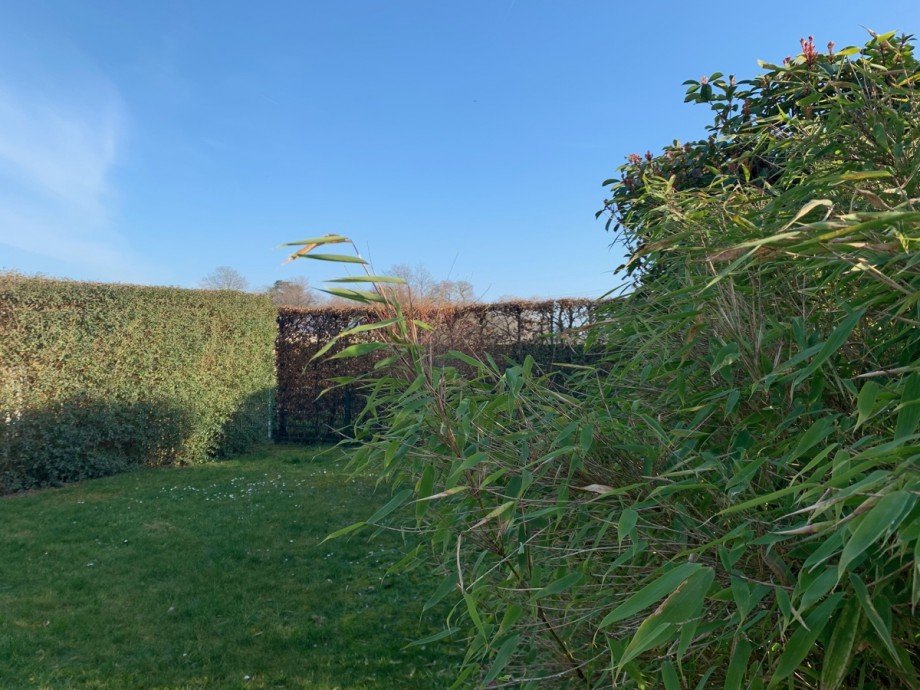 Gartenansicht Doppelhaush�lfte Niederkassel
