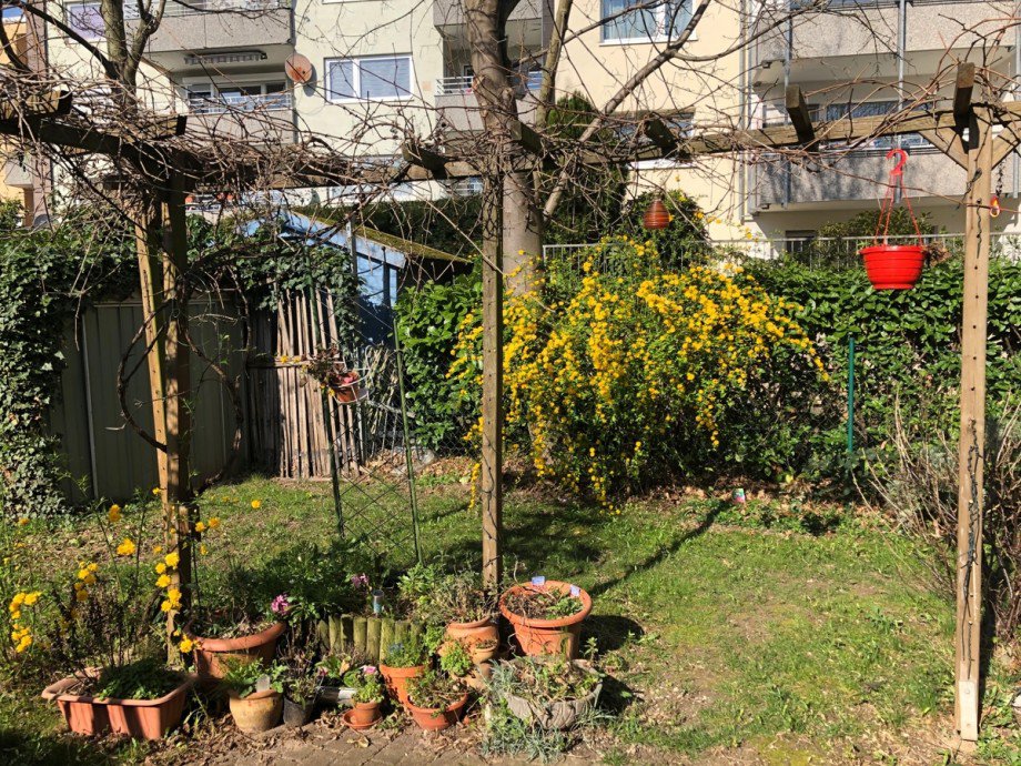 Garten Einfamilienhaus Wesseling