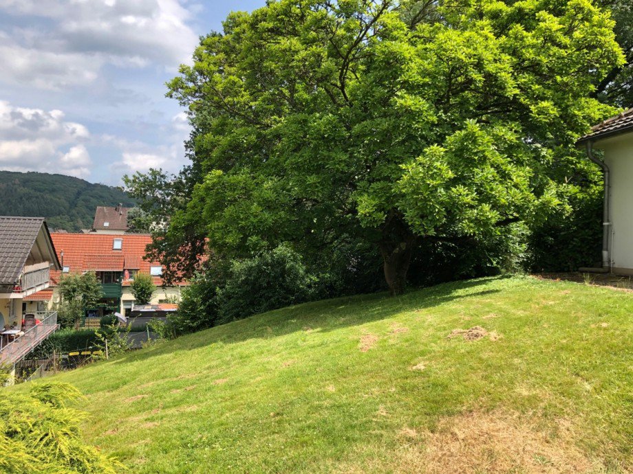  Einfamilienhaus Eitorf