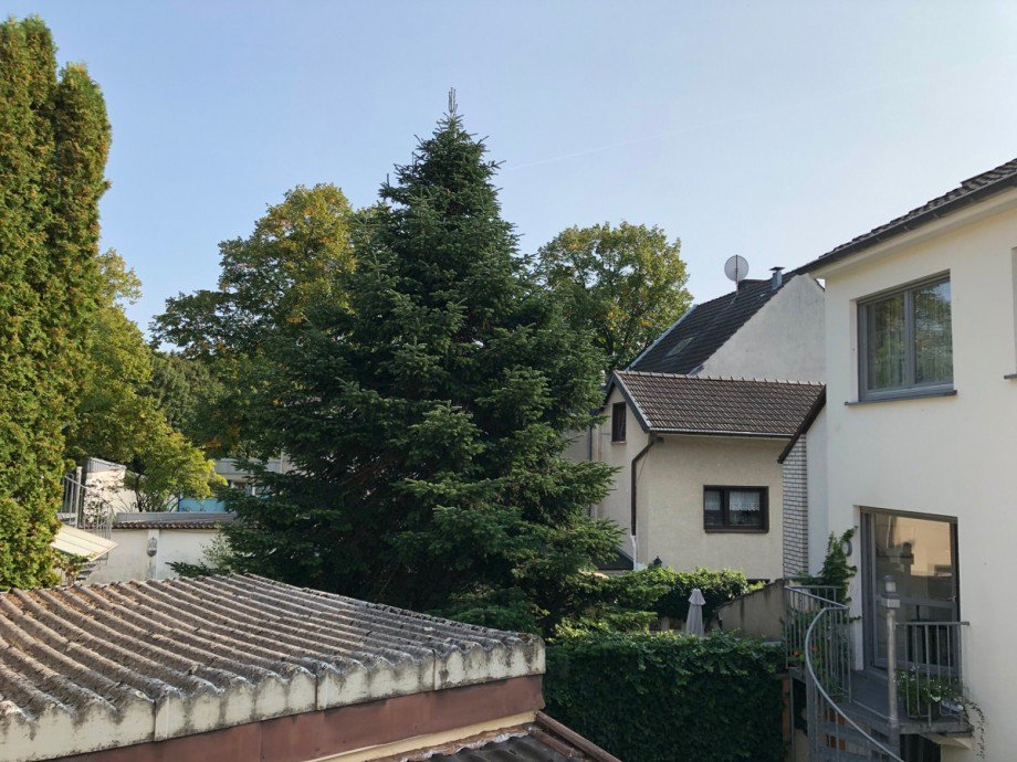 Blick in die Nachbarschaft Einfamilienhaus Bonn / Endenich