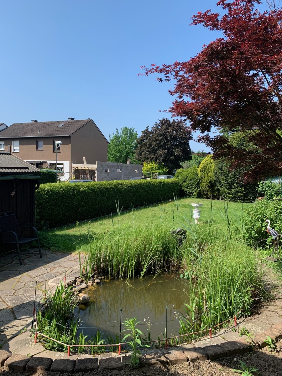 Garten Reiheneckhaus Sankt Augustin