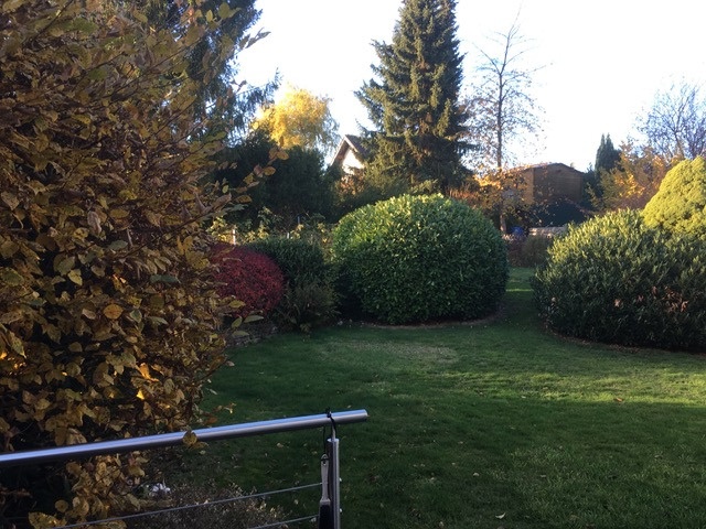 Blick in den Garten Einfamilienhaus Much / Marienfeld