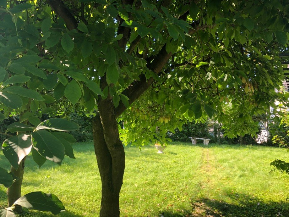 Garten Einfamilienhaus Bonn