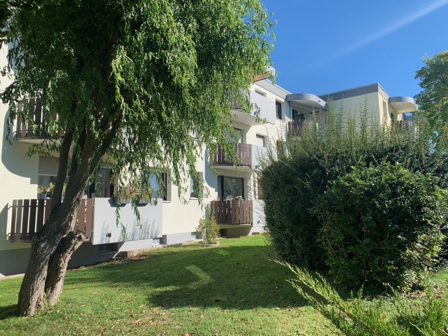 S�dseite Erdgeschosswohnung Sankt Augustin