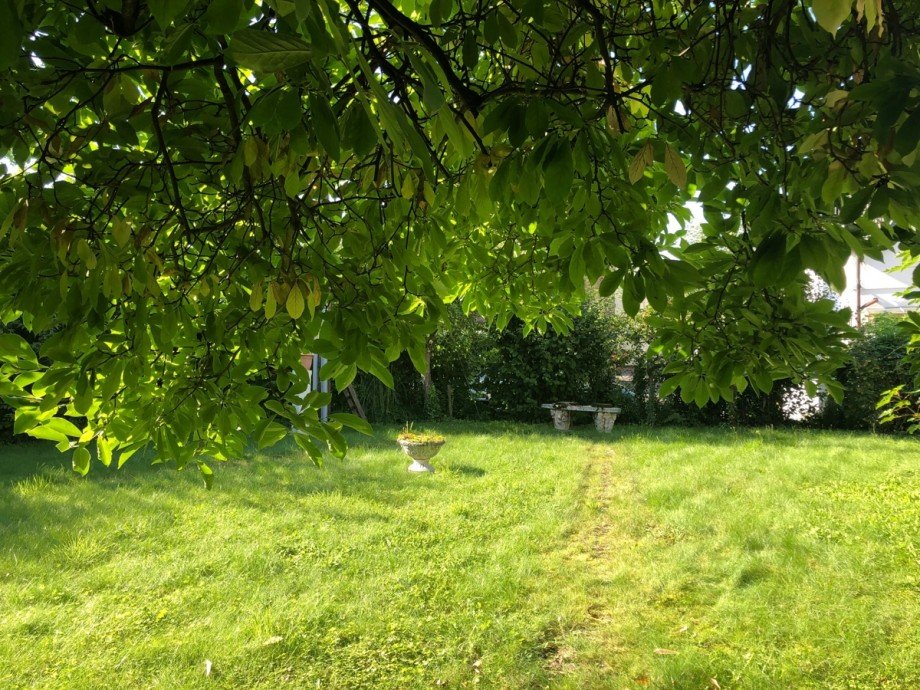 Garten Einfamilienhaus Bonn