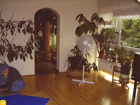 Anischt 2 Wohnzimmer Dachgeschosswohnung Sankt Augustin