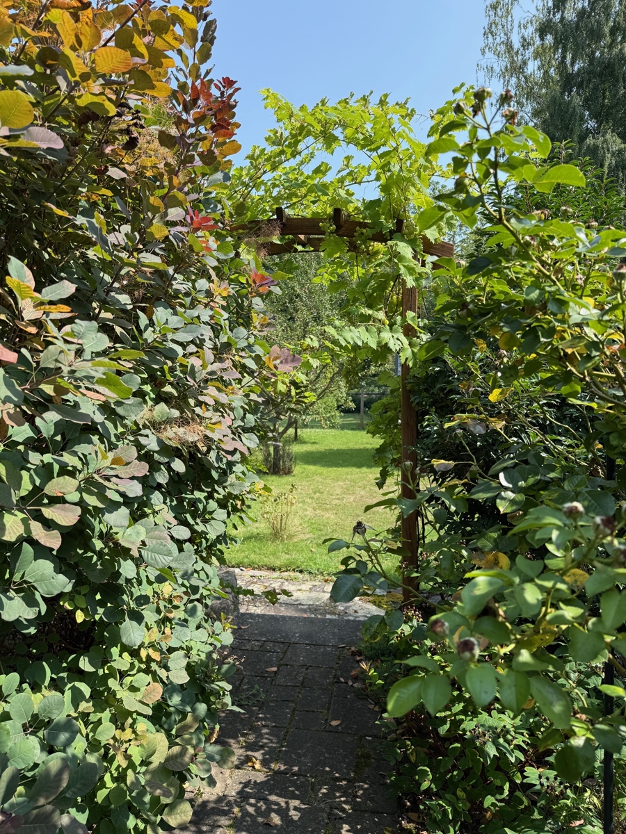 weitere Ansicht vom Grundst�ck Einfamilienhaus Bonn