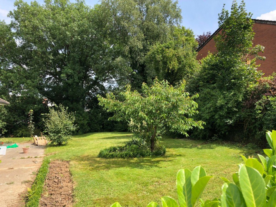 Garten Einfamilienhaus Eitorf