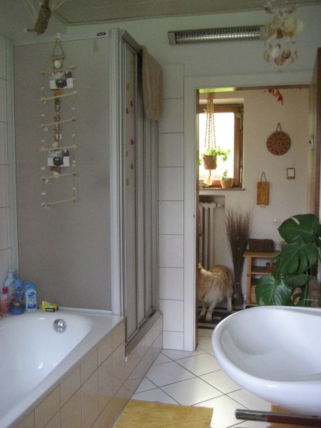 Ansicht 1 Bad Einfamilienhaus Eitorf