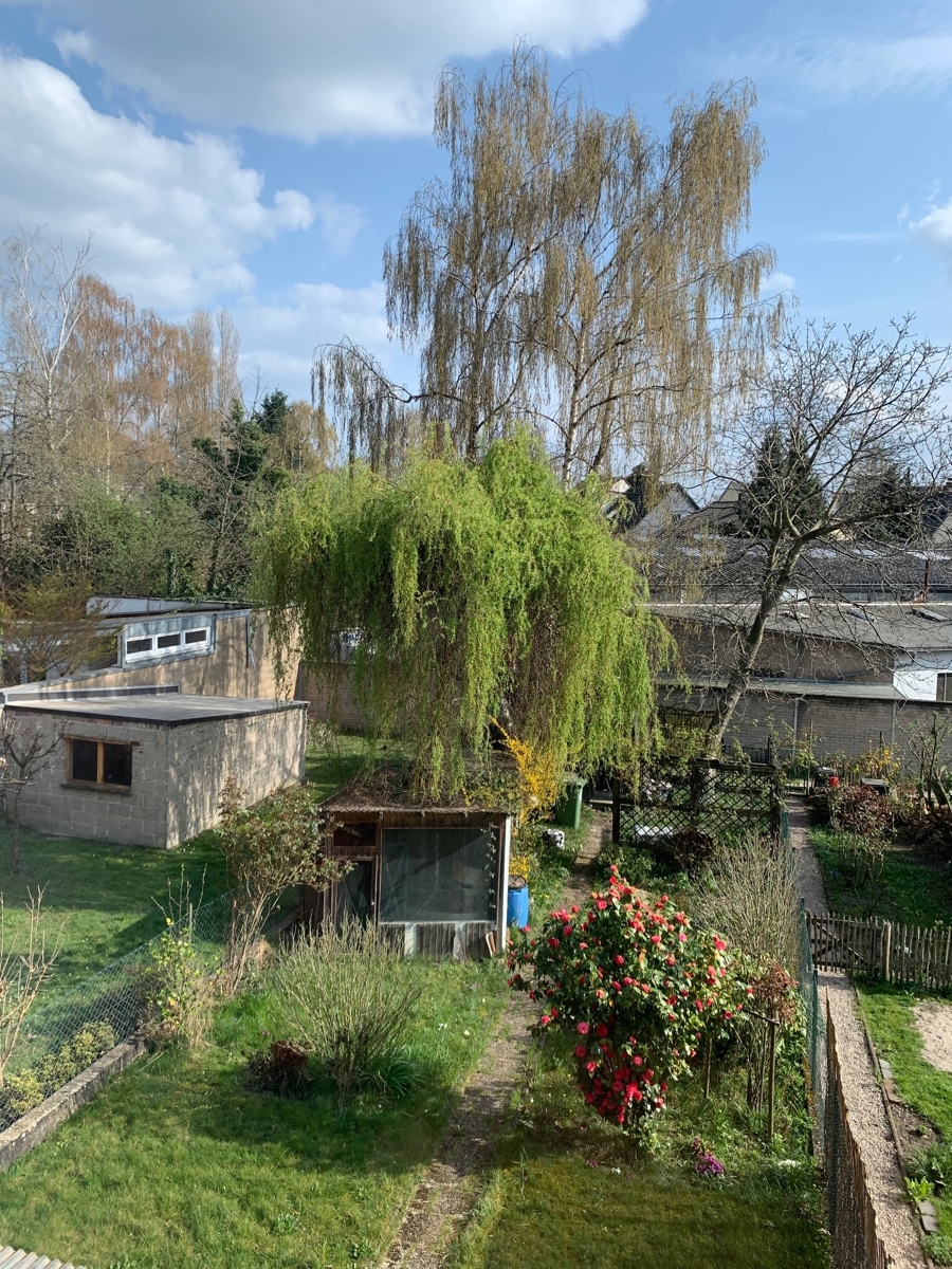 Garten Einfamilienhaus Siegburg