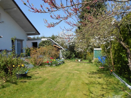 Garten Einfamilienhaus Sankt Augustin