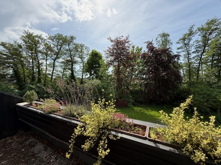 Dachterrasse Zweifamilienhaus Sankt Augustin