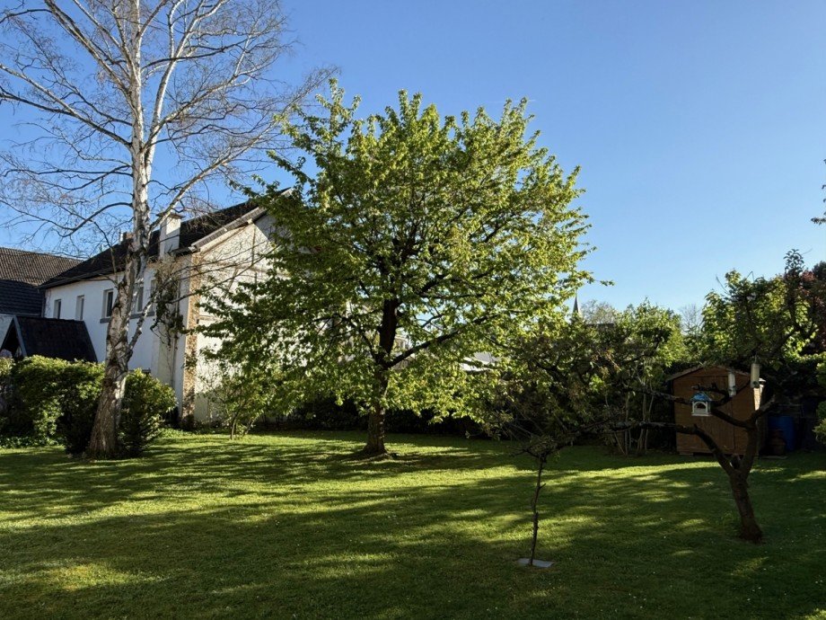 . Etagenwohnung Bonn