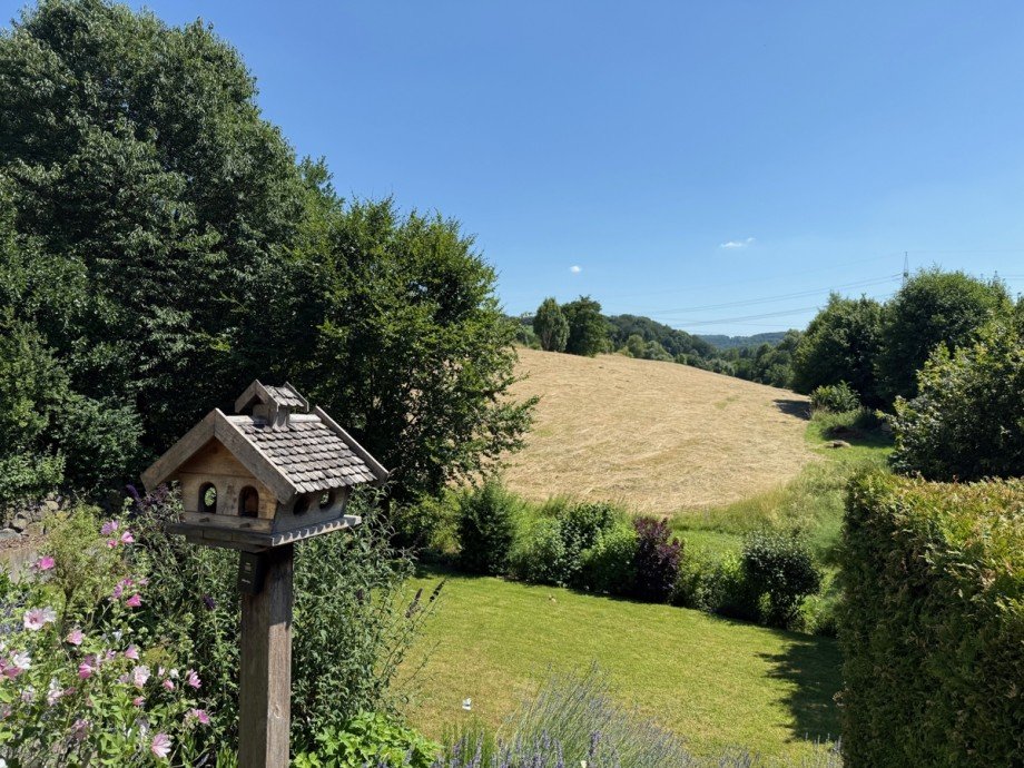 . Einfamilienhaus Hennef