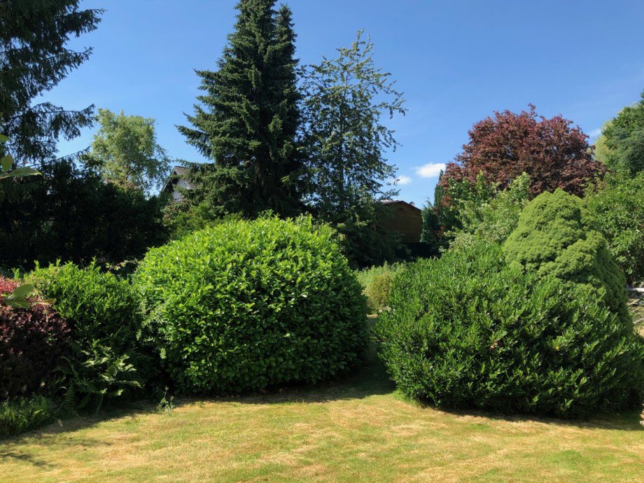 Gartenansicht Einfamilienhaus Much / Marienfeld