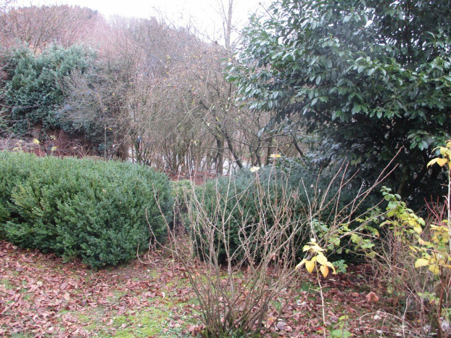 Gartenanteil Etagenwohnung Bergneustadt / Wiedenest