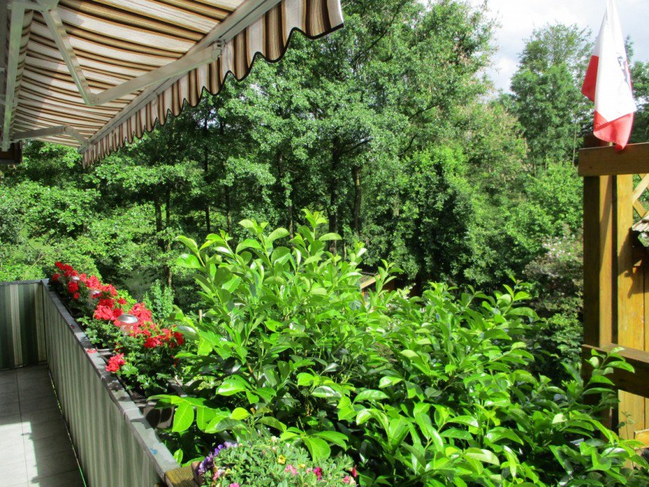 Balkon Erdgeschosswohnung K�nigswinter