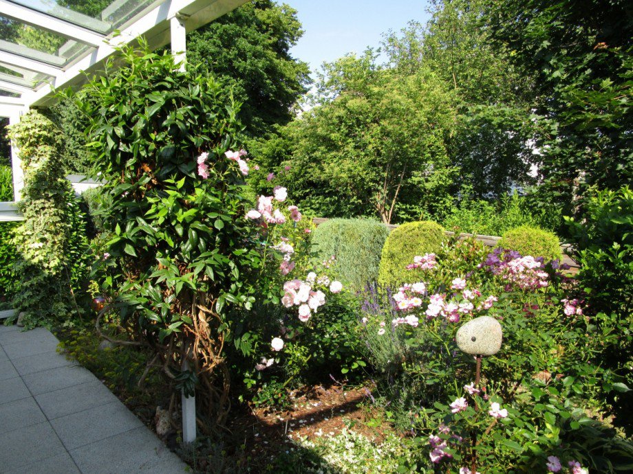 Terrasse, Garten Bungalow Sankt Augustin / Hangelar