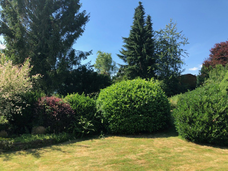 Gartenansicht Einfamilienhaus Much / Marienfeld