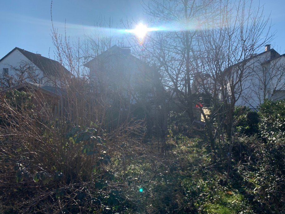 Garten Einfamilienhaus Alfter / Oedekoven