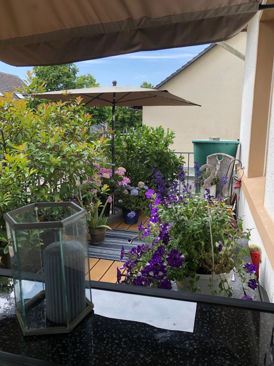 sch�he S�dterrasse 1. OG Einfamilienhaus Hennef (Sieg)