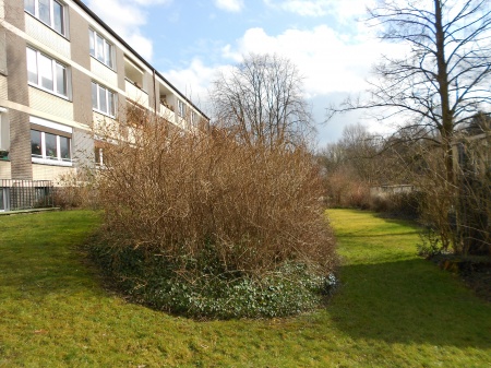 Garten / Grundst�ck Etagenwohnung D�sseldorf