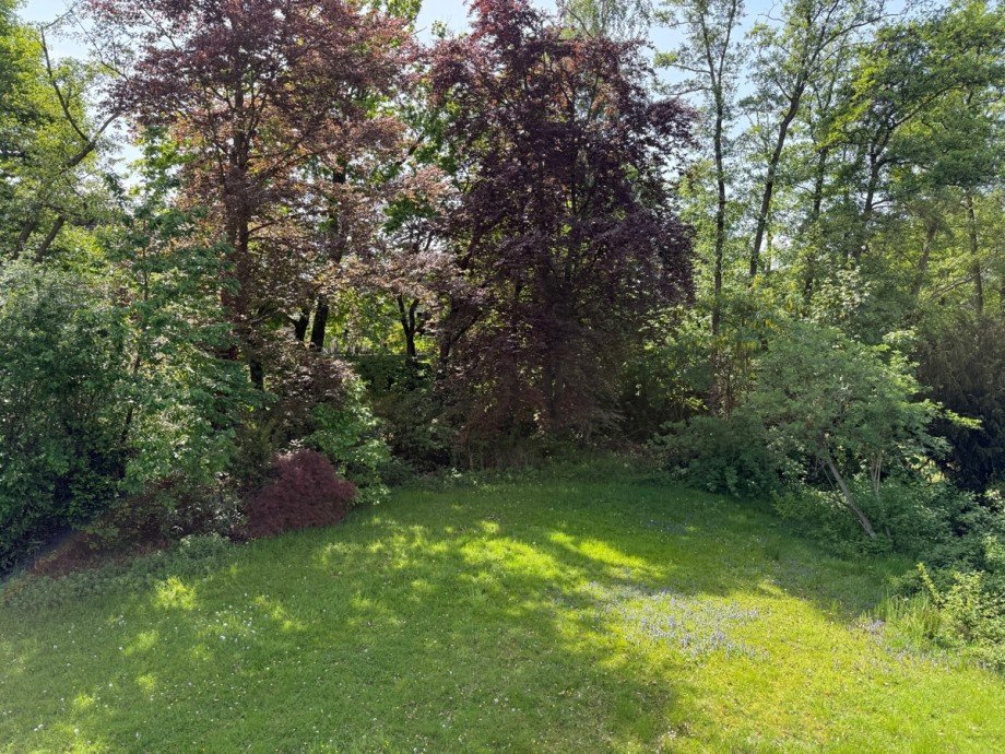 Blick in den Garten Zweifamilienhaus Sankt Augustin