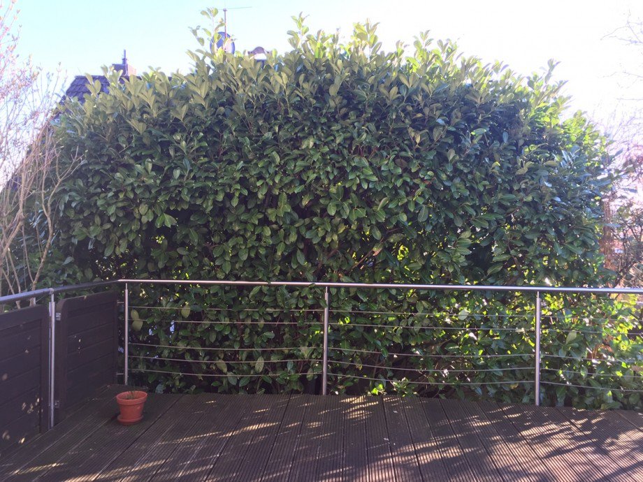 Terrasse Einfamilienhaus Much / Marienfeld