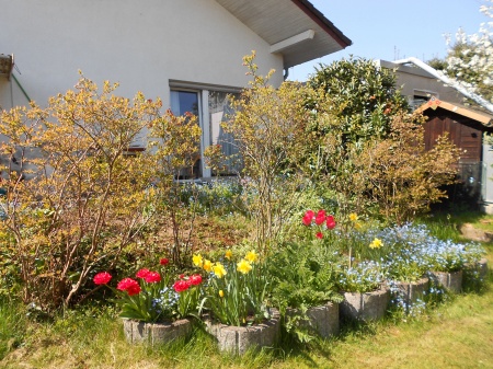 Gartenansicht Einfamilienhaus Sankt Augustin