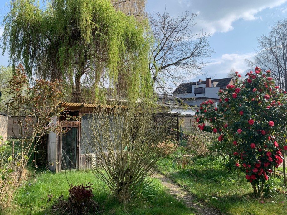 Blick in den Garten Einfamilienhaus Siegburg