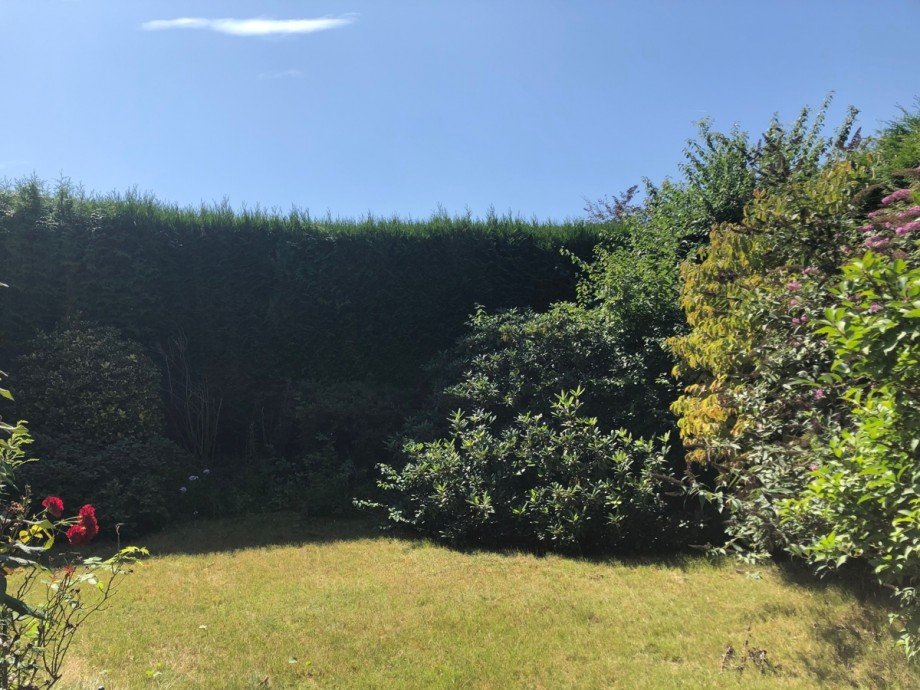 Garten Reiheneckhaus Sankt Augustin