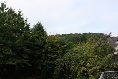 Blick ins Gr�ne Einfamilienhaus Sankt Augustin