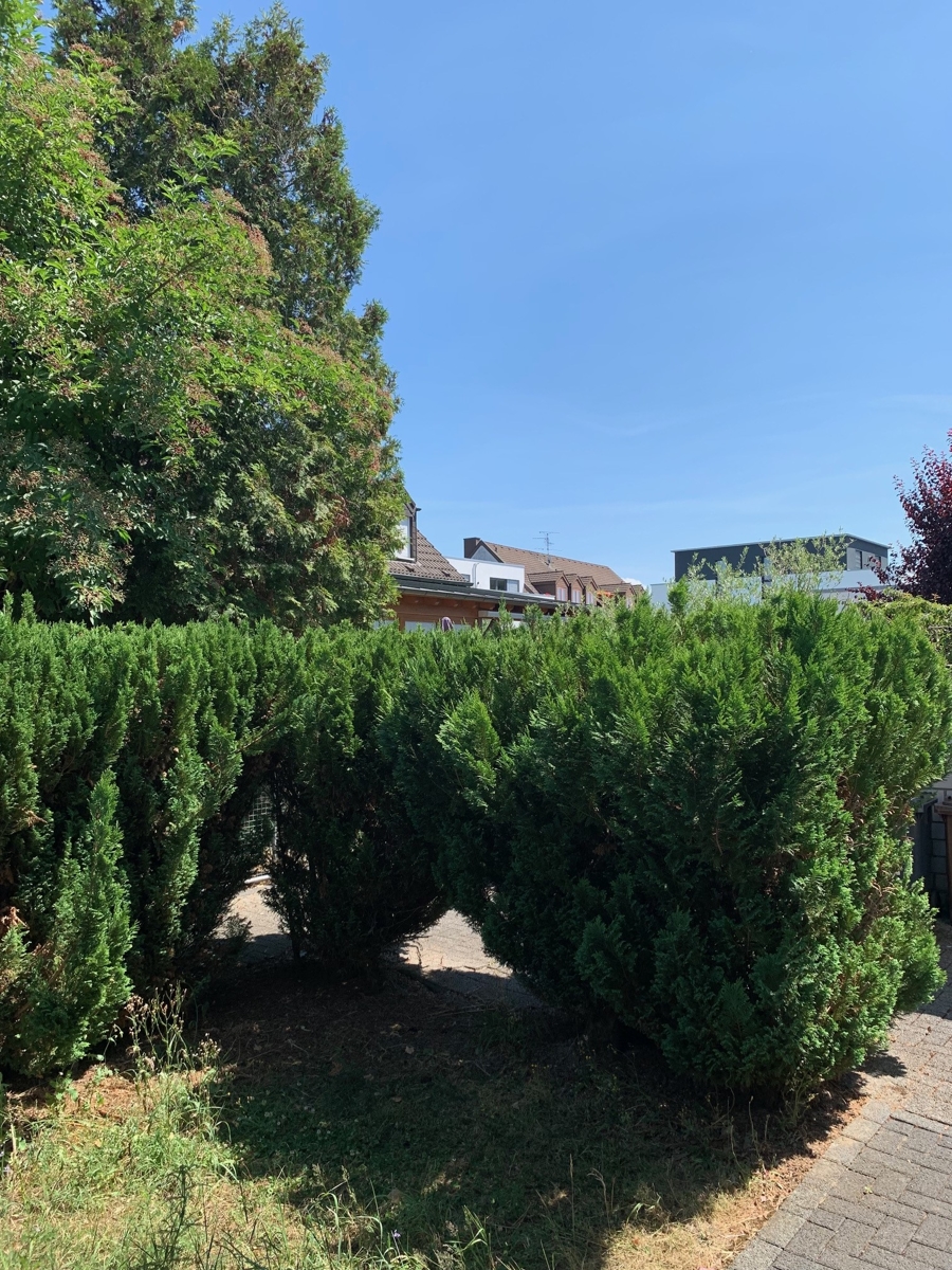  Doppelhaush�lfte Niederkassel