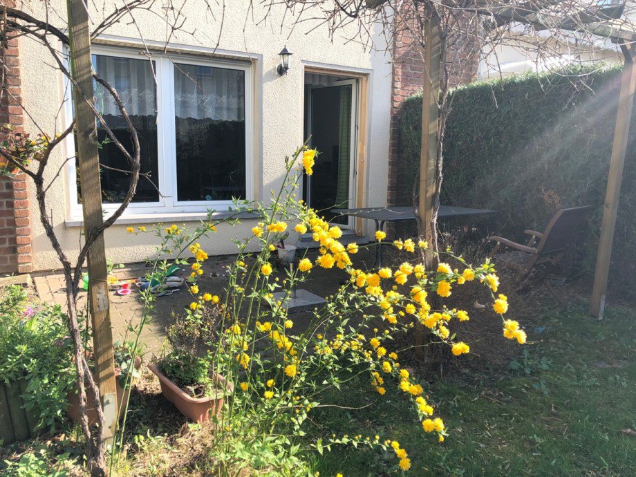 Terrasse Einfamilienhaus Wesseling