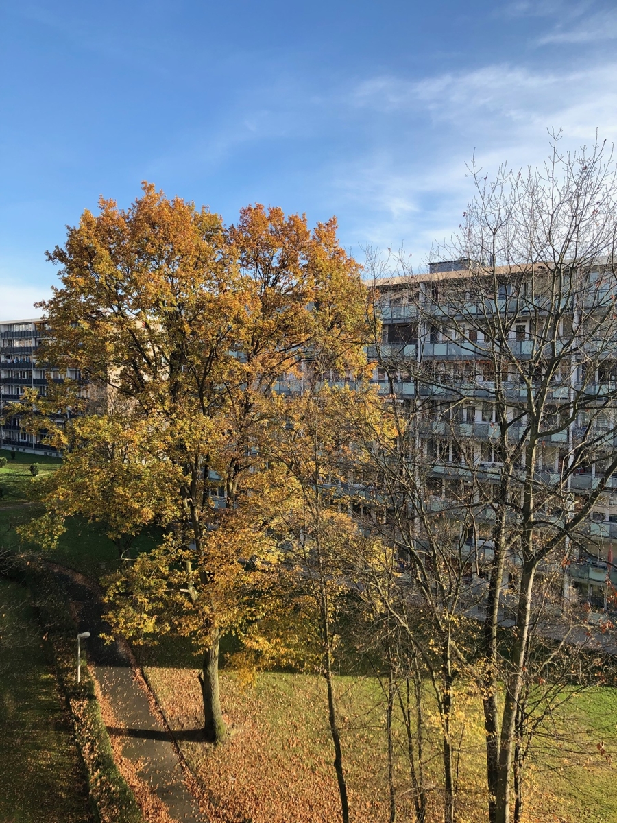  Etagenwohnung Sankt Augustin