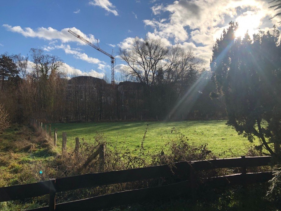 Blick ins Gr�ne Einfamilienhaus Wachtberg