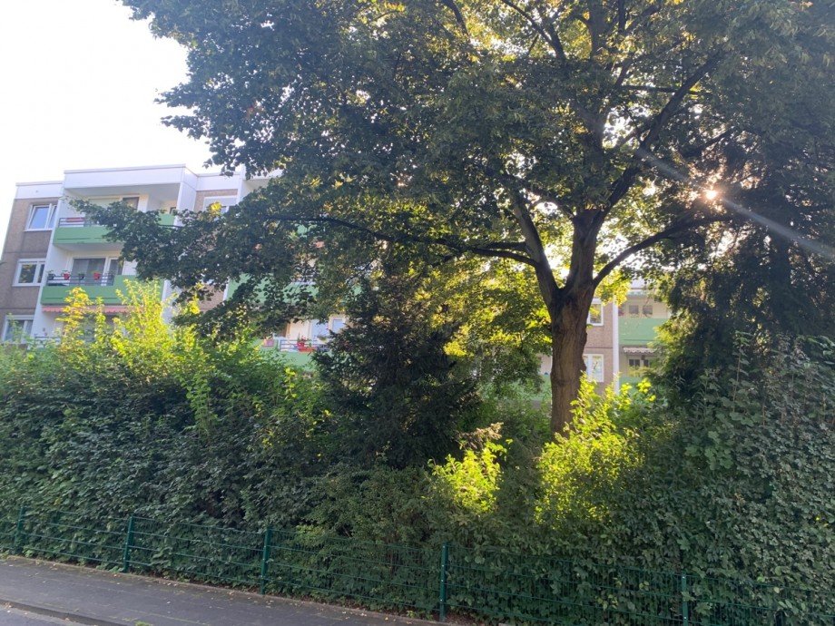 Umgebung Etagenwohnung Sankt Augustin